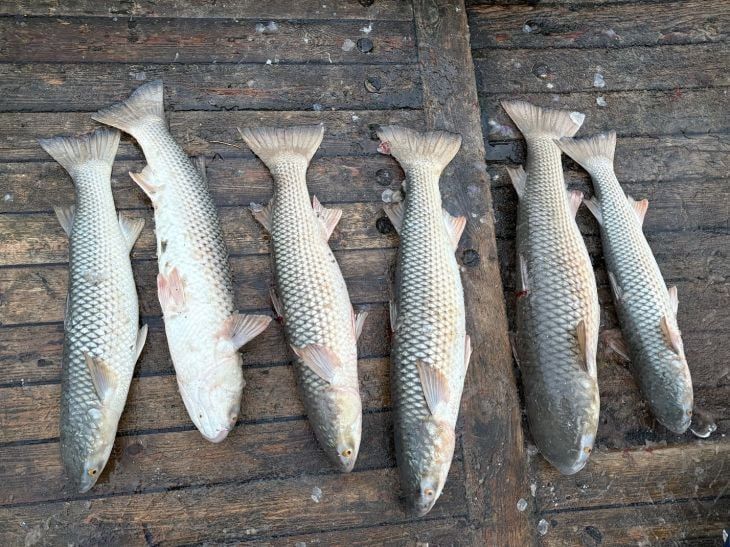 � �������� ���� ��������� ���� ����� 70-������������� ����������