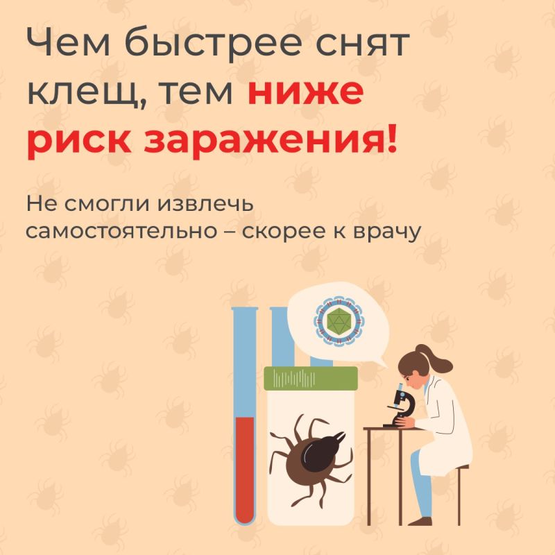 На полуострове активизируются клещи На полуострове активизируются клещи
