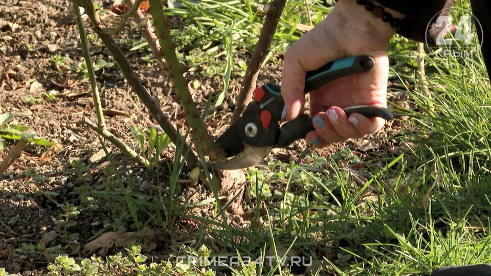 ������� ��� ��������� � ������� ����