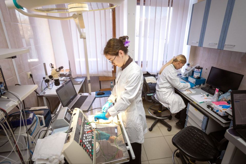 ������ ������: �������� ������ ����� ������������ ������������ ��������� ��������� ����������� �������� ����� (���)