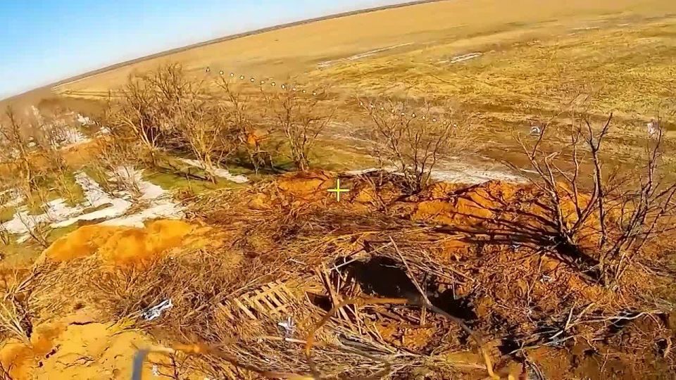 ��������� ����������� ����� ������ ���������� ��������������� ������ ��� � ���������� �������