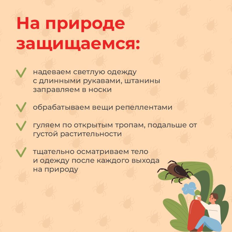 На полуострове активизируются клещи На полуострове активизируются клещи