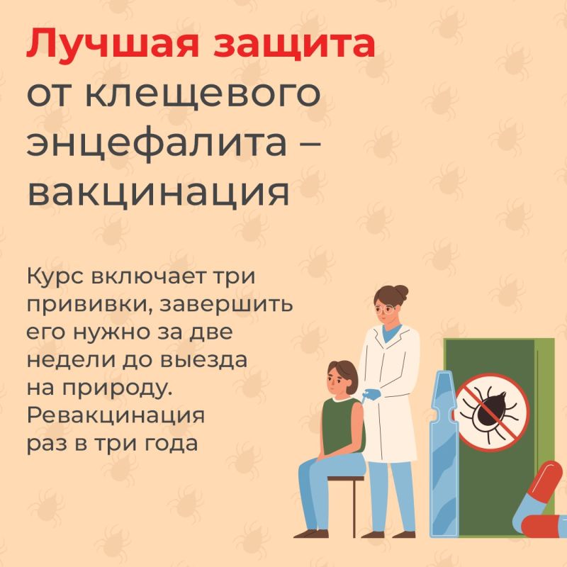 На полуострове активизируются клещи На полуострове активизируются клещи
