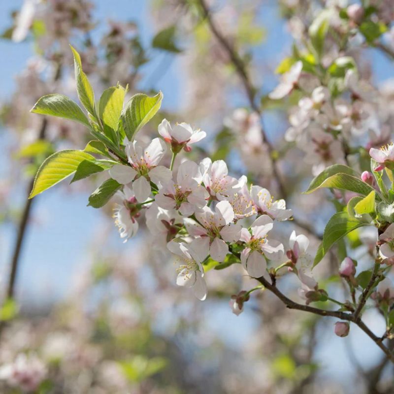 Прогноз погоды в Крыму на 12 марта