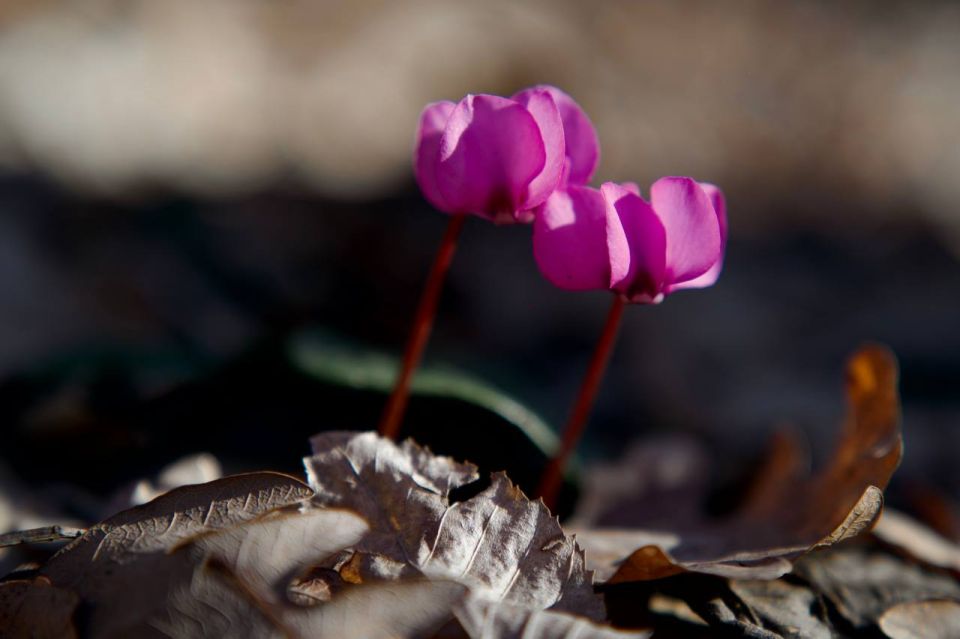 �� ���� ������� ������ �������� ��������� � ��������� �������� �������