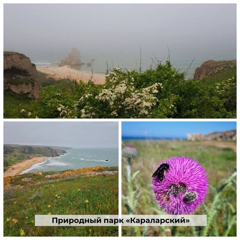 За окном весна! Настраиваемся на яркое и прекрасное время года, которое во всех красках демонстрирует нам красоту природы, возрождающейся после зимней спячки За окном весна! Настраиваемся на яркое и прекрасное время года, которое во всех красках демонстрирует нам красоту природы, возрождающейся после зимней спячки