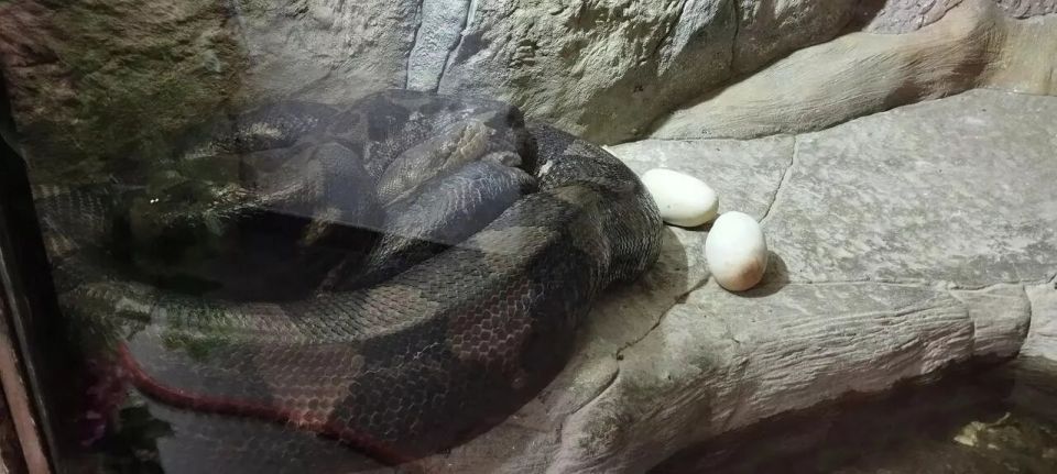 ������������ ����������: ����� ��������� ������ �� ���������� �������������� ������� �������� ����