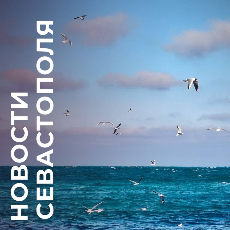 Михаил Развожаев: Коротко о главном:. Силы ПВО и Черноморского флота отразили ночную атаку ВСУ на Севастополь