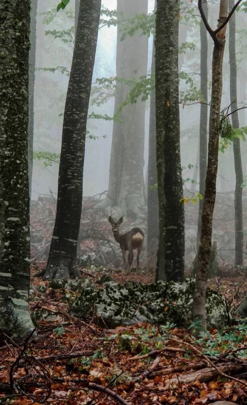 �� ��������� ���������� ��������� ��������� �����������!