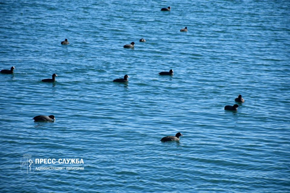 �������� � ����� ����� ������ � �������