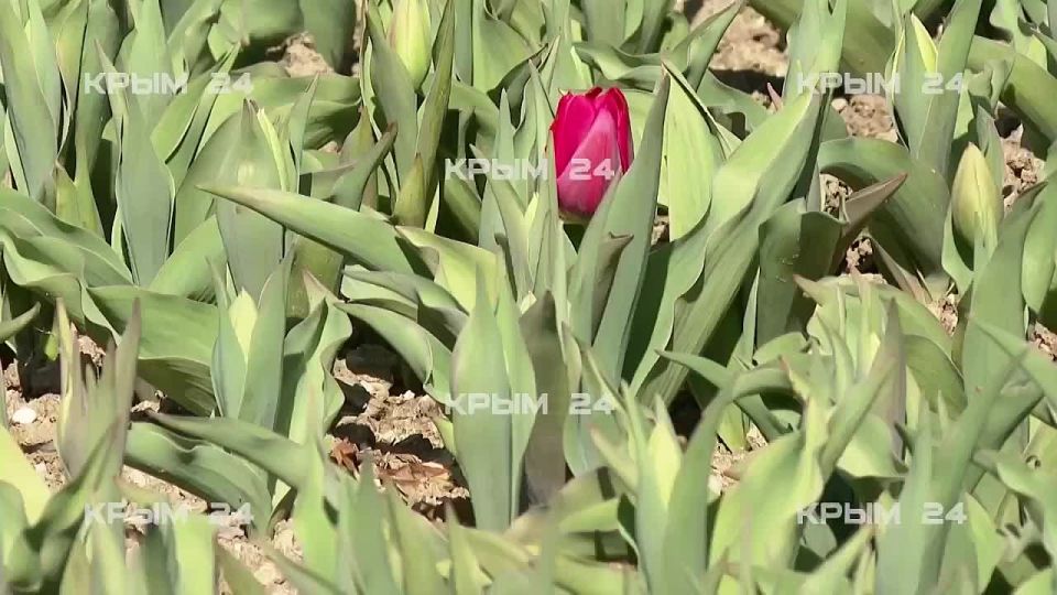 ������ �������� ��������� � ��������� ������������ ����