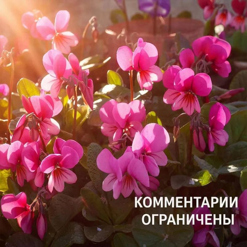 Вода Крыма: Уважаемые участники нашего сообщества!