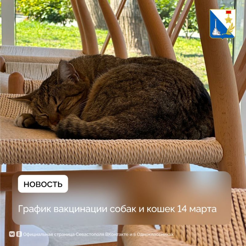 � ��� �������, 14 �����, ������������ ������� ���������� ���������� ����� � �����