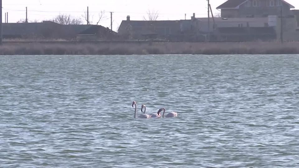 ����� ������� �������� ������� � ���������