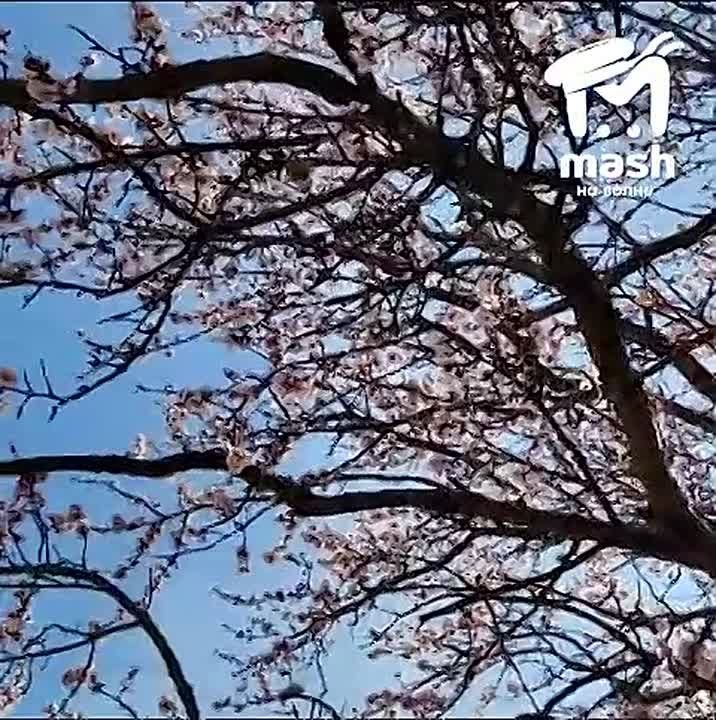 ���-��-��������! ����� ������ �� ����������, ������� �����! ���� ��������� ������ ����� ������������� ���� ����� �����