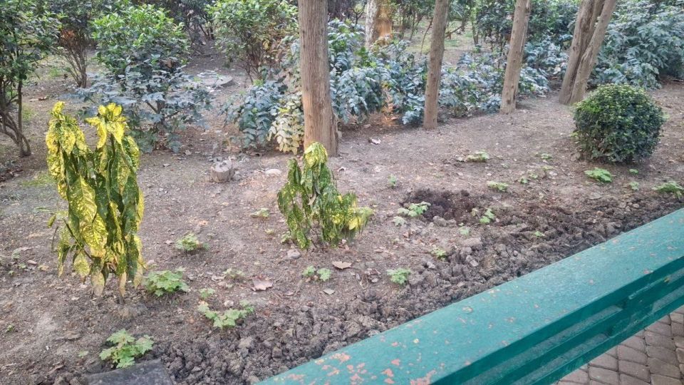 ������ ������: ������� ���������! ������ ���� �����!