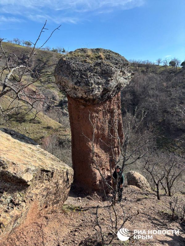 �������� ����� � ������ ���� ������