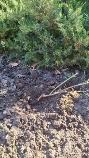 ����������� ����� �������� ������� ���������� �� ����������� ����� ����������� ����� � ������