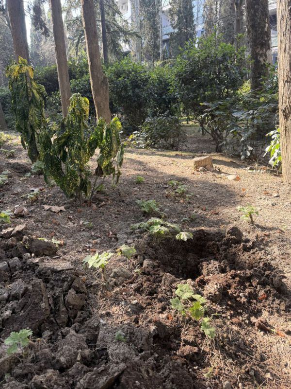 ������� ����� �� ����������� ����� ����������� ����� � ������ ����������� ������ ������ ���������� � ���� � ������ ��������, �������� ����� ��������� ������������� ������ ������