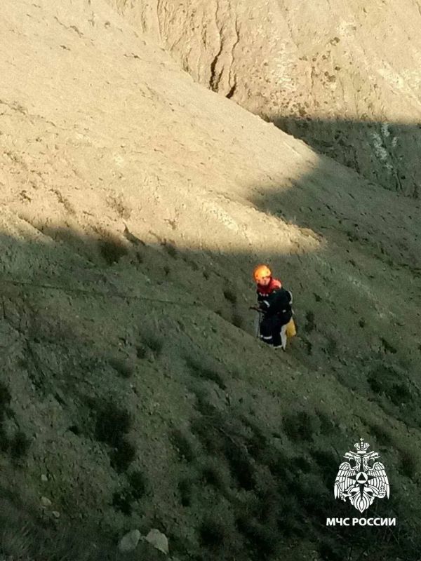 � ����� ��������� ������� ���� �������� ��������� � �����