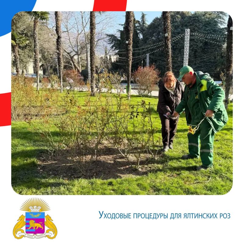 ����� ��������: ����� ������. (9-15 �����) ������� ������������ ���������� ��������� � ��������� ������������ ������