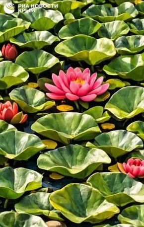 Крым – это не только море и горы, но и удивительной красоты озера