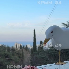 ���� ����� �����, ��������� �������!�