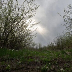 Прогноз погоды в Крыму на 15 марта