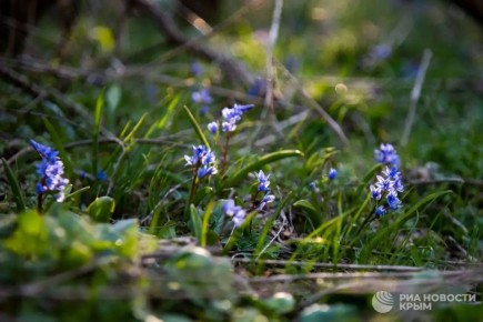 Весеннее пробуждение Крыма после снежной зимы – в нашей фотоленте