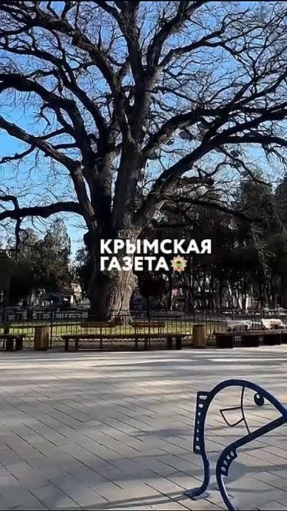 ������� ���� � ����������� �������������!