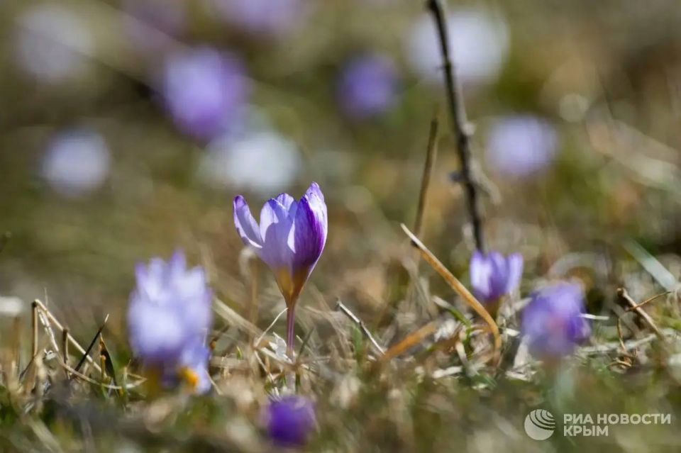 �������� ����������� ����� ����� ������� ���� � � ����� ���������