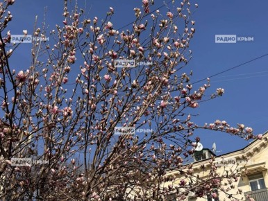 � ����������� ������� ��������