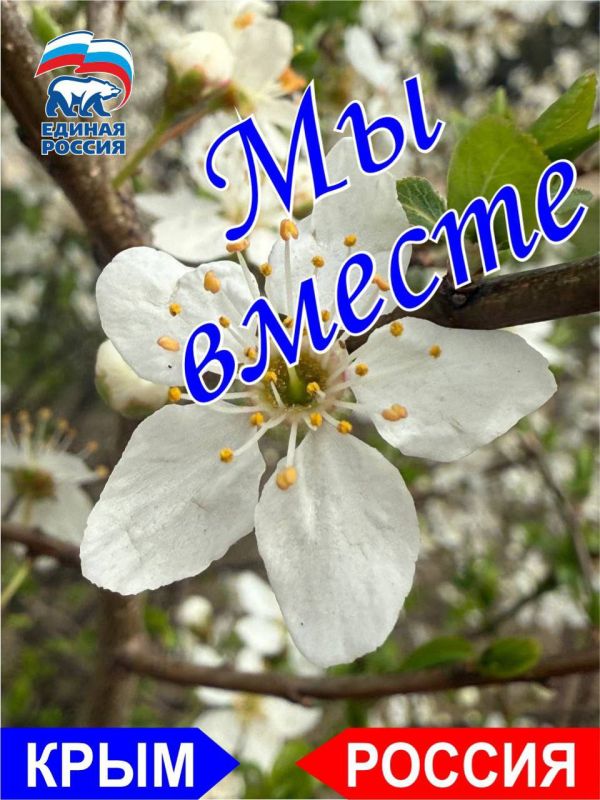 ���������� �����������: ������� �� �������� 12 ��������� ������������� ����������� 2014 ����! � ������� ��������� ������, � ������� ��������� ������ �� ���, ������ ��� 12 ���