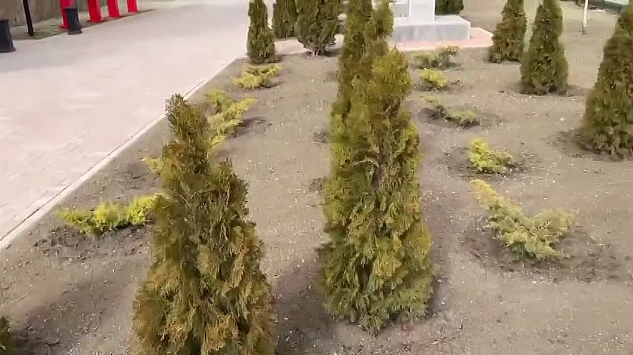 Валентина Биджакова: Дорогие жители нашего города!