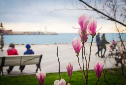 Для крымчан стартовала короткая рабочая неделя