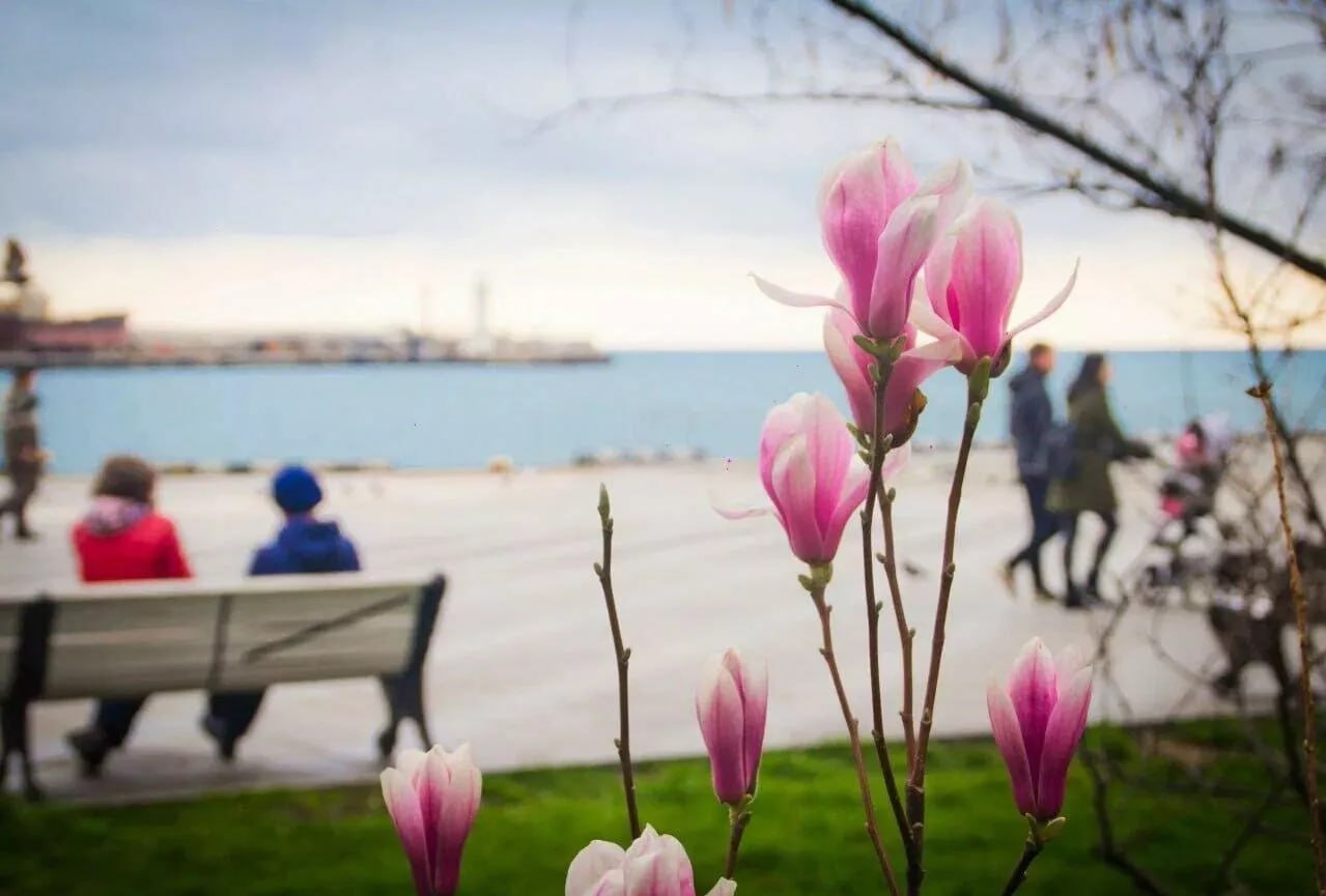 Для крымчан стартовала короткая рабочая неделя