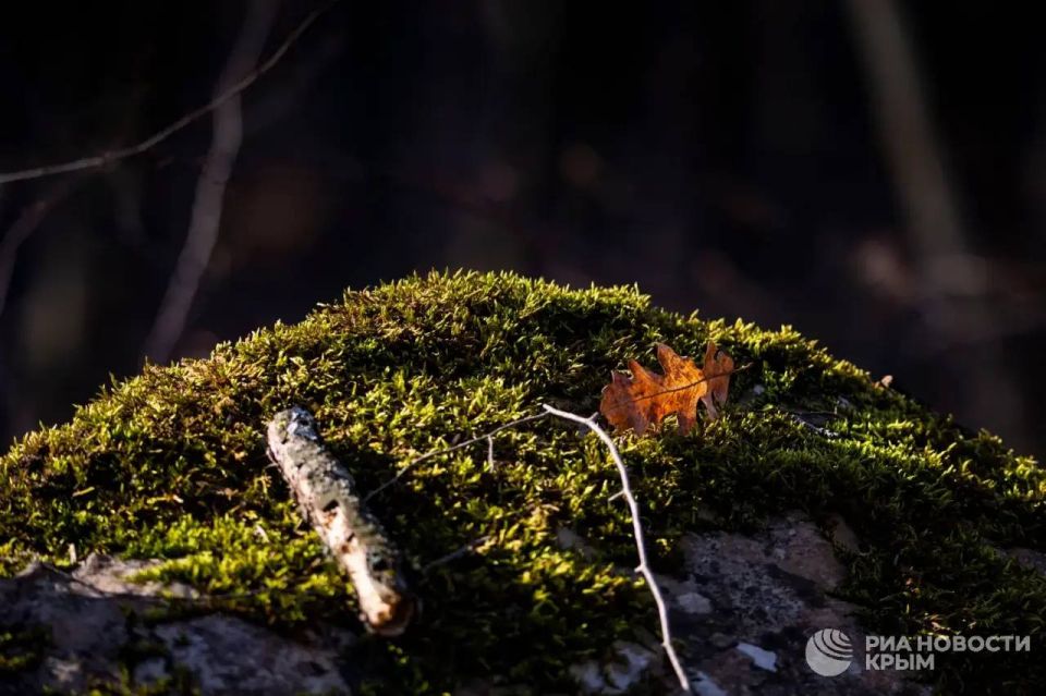 Прогноз погоды в Крыму на понедельник