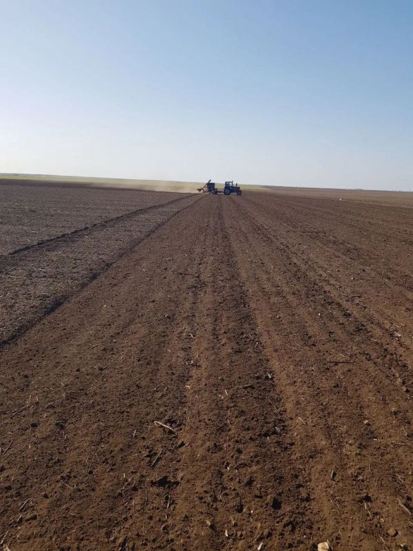 ������� ������ ������� ���������� � ������ ���