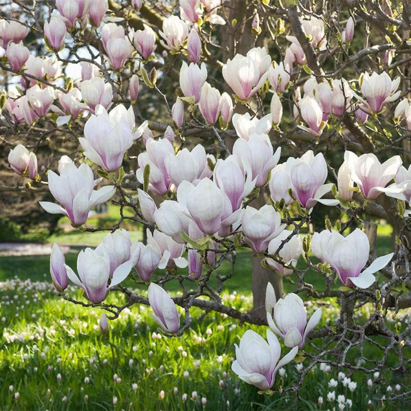 ����� ������ ��� ������� � ������ ����� 16 �����