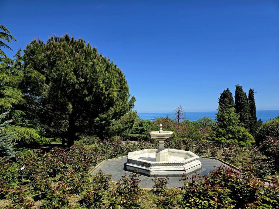 ������ ����������: ���� ���������, ��������� ��������� ��������, � ����� ����� ���������� � ����