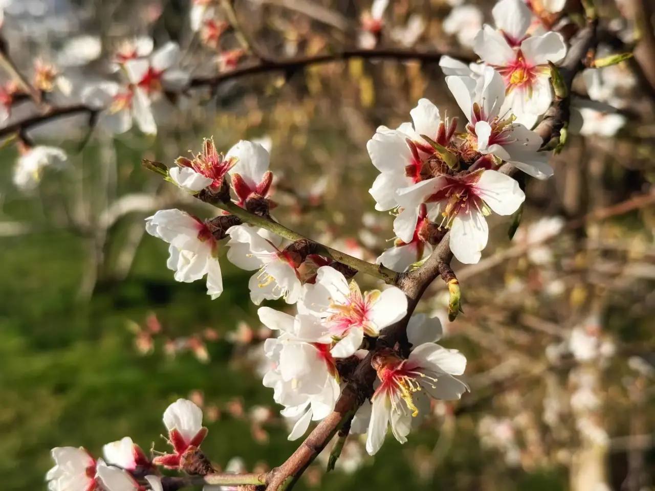 Янина Павленко: С добрым утром, любимый город Со стартом новой рабочей недели! И, конечно, с годовщиной Общекрымского Референдума – главным предвестником Крымской весны Янина Павленко: С добрым утром, любимый город Со стартом новой рабочей недели! И, конечно, с годовщиной Общекрымского Референдума – главным предвестником Крымской весны
