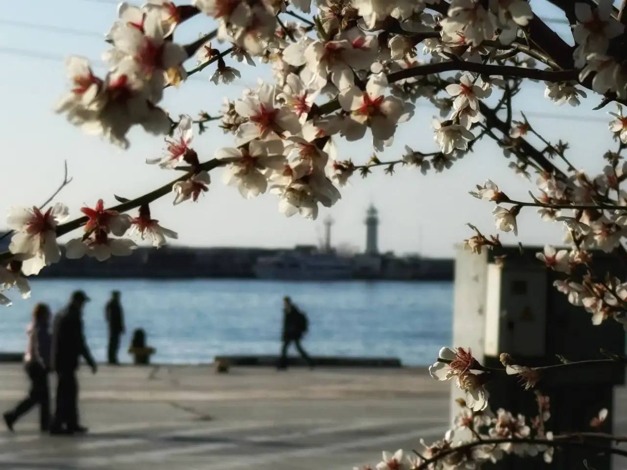 Янина Павленко: С добрым утром, любимый город Со стартом новой рабочей недели! И, конечно, с годовщиной Общекрымского Референдума – главным предвестником Крымской весны Янина Павленко: С добрым утром, любимый город Со стартом новой рабочей недели! И, конечно, с годовщиной Общекрымского Референдума – главным предвестником Крымской весны