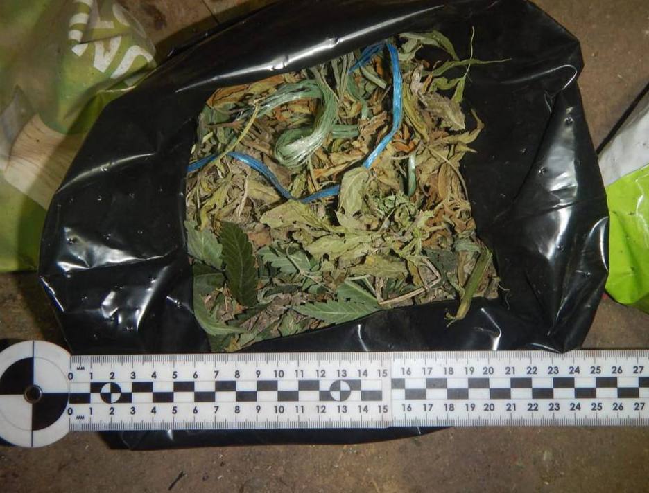 Прокуратура города Ялты поддержала государственное обвинение по уголовному делу в отношении 22-летнего местного жителя