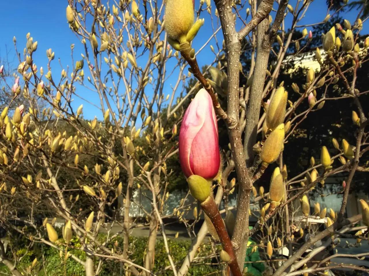 Янина Павленко: С добрым утром, любимый город Со стартом новой рабочей недели! И, конечно, с годовщиной Общекрымского Референдума – главным предвестником Крымской весны Янина Павленко: С добрым утром, любимый город Со стартом новой рабочей недели! И, конечно, с годовщиной Общекрымского Референдума – главным предвестником Крымской весны
