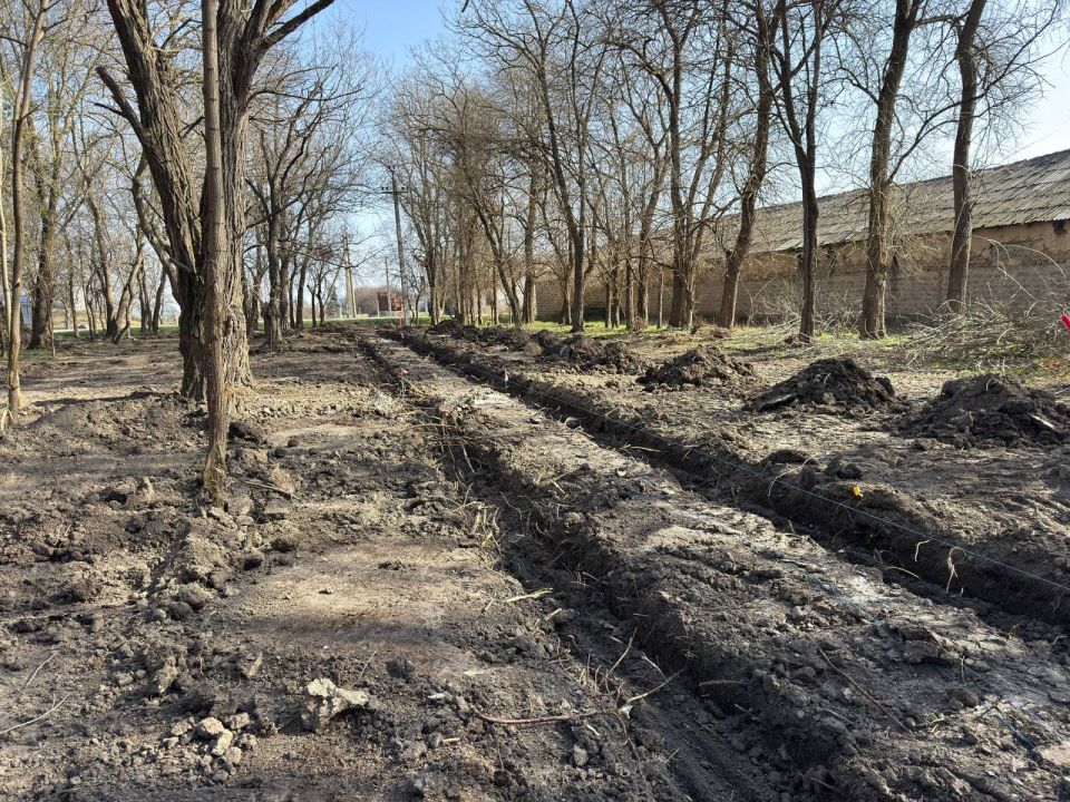 ����� ������: ����� ����� ����������: � ���� �������� ������������ ����!