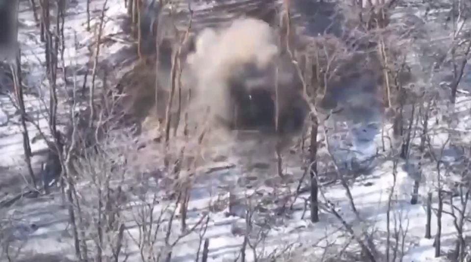 ������ �� ��������� � ��������� ����!