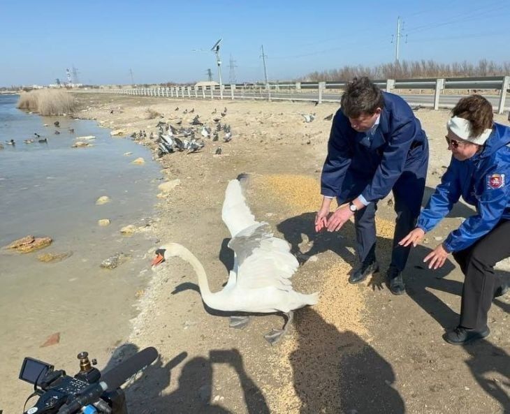 � ��������� �������� ������� ������� �� �����