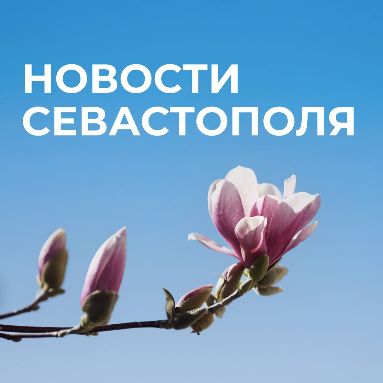 Михаил Развожаев: Коротко о главном: