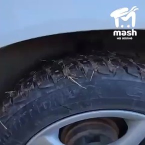 Кто-то порезал колеса на машинах питбайкеров, пока они катались в лесу под Бахчисараем