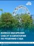 В Евпатории снесут колесо обозрения в парке имени Караева